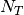 N_T